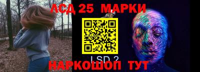 гашик Кинель