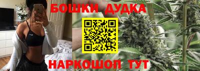 spice Кингисепп