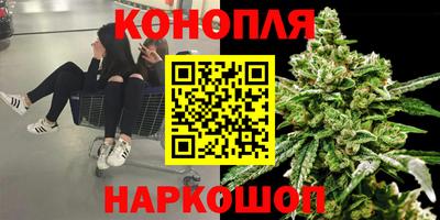 spice Кингисепп