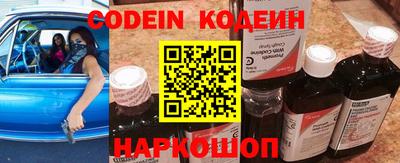 гашик Кинель