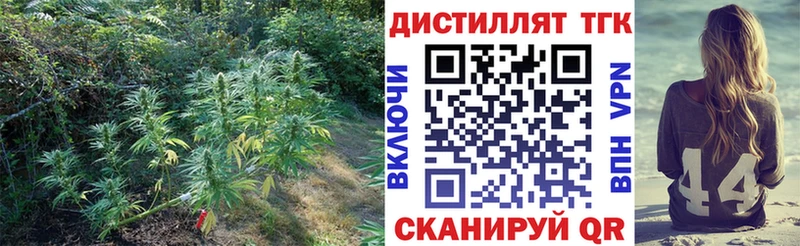 где можно купить   Сосновый Бор  ТГК жижа 