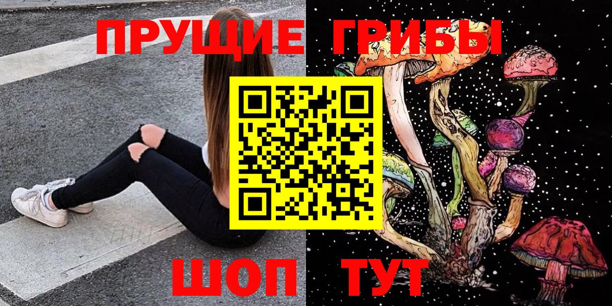 Псилоцибиновые грибы Psilocybine cubensis Сосновый Бор