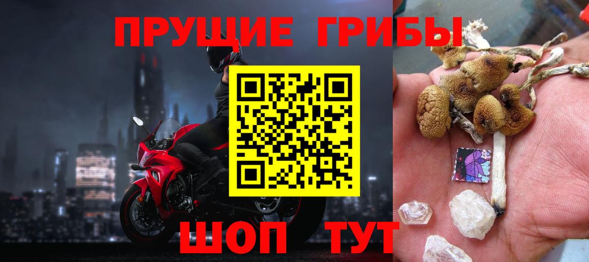 закладки  Сосновый Бор  Псилоцибиновые грибы MAGIC MUSHROOMS  Псилоцибиновые грибы ЛСД 