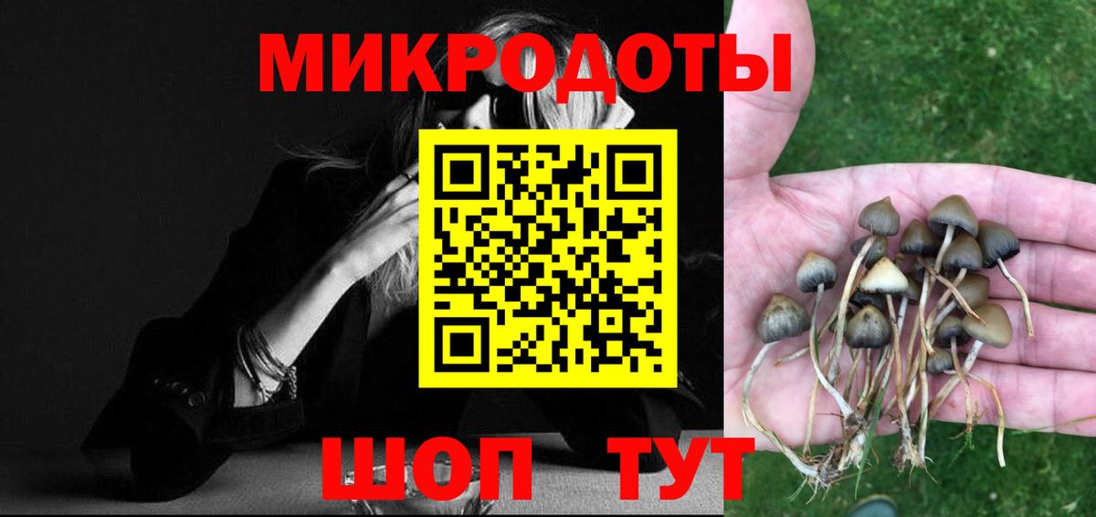 Галлюциногенные грибы Magic Shrooms  Вход с VPN  Сосновый Бор 