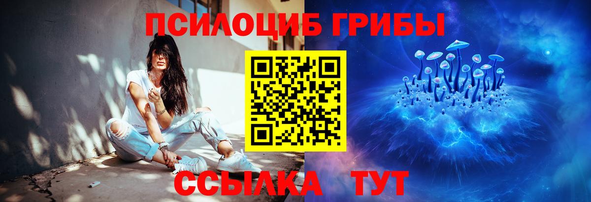 A PVP Сосновый Бор